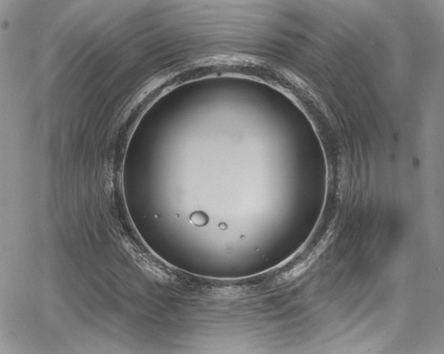 X0000068271017200604211105