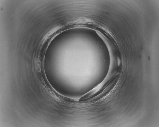 X0000068271018200604211105