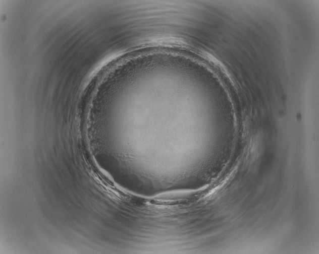 X0000068271019200604211105