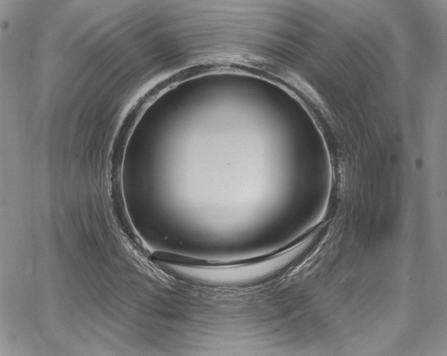 X0000068271020200604211105