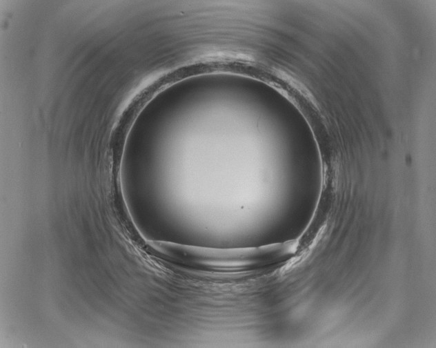 X0000068271021200604211105