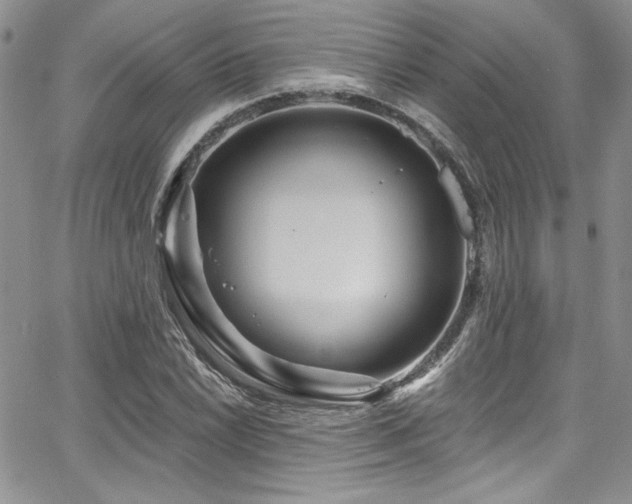 X0000068271022200604211105