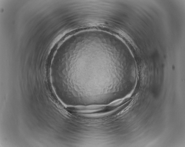 X0000068271023200604211105