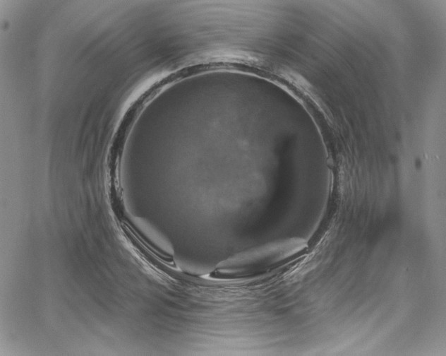 X0000068271024200604211105