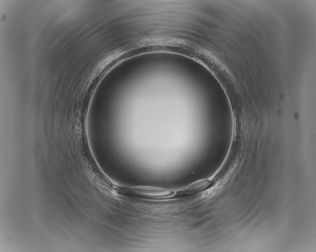 X0000068271025200604211105