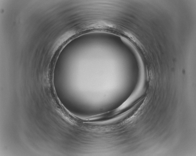 X0000068271026200604211105