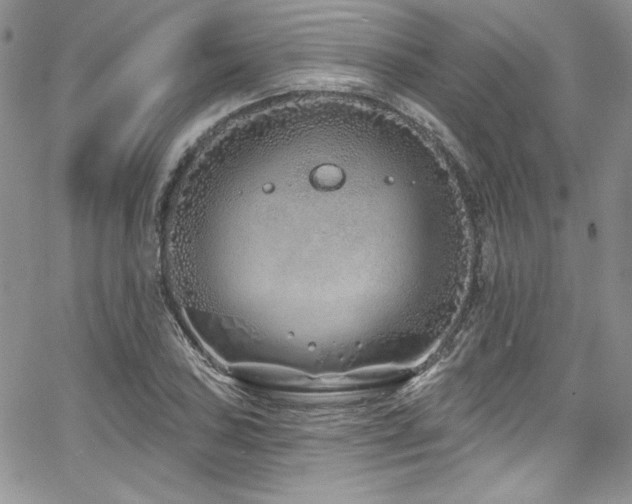 X0000068271027200604211105