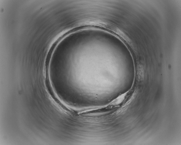 X0000068271028200604211105