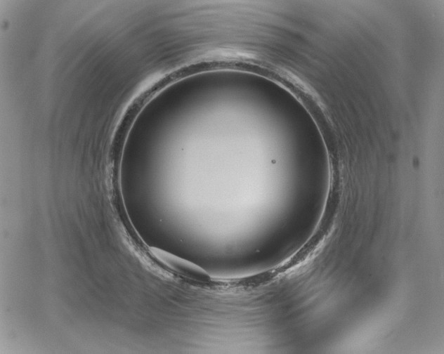 X0000068271029200604211105