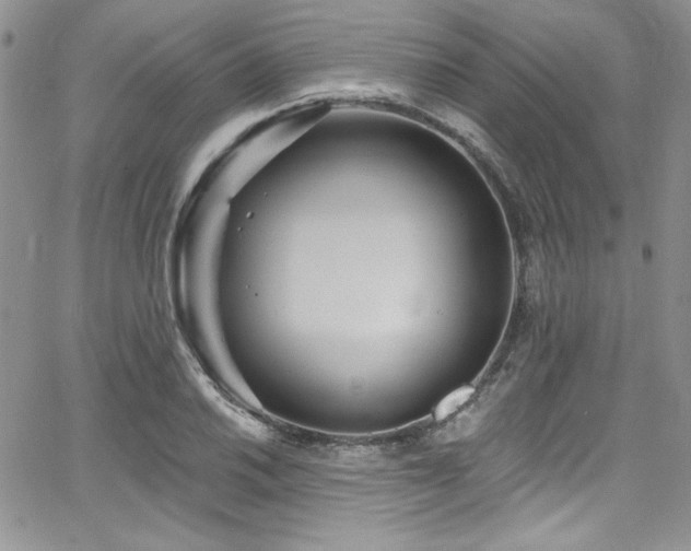 X0000068271030200604211105