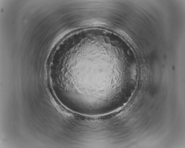 X0000068271031200604211105