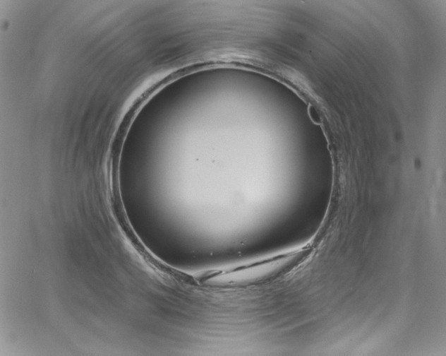 X0000068271032200604211105