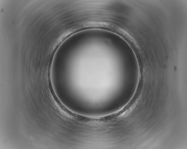 X0000068271033200604211105