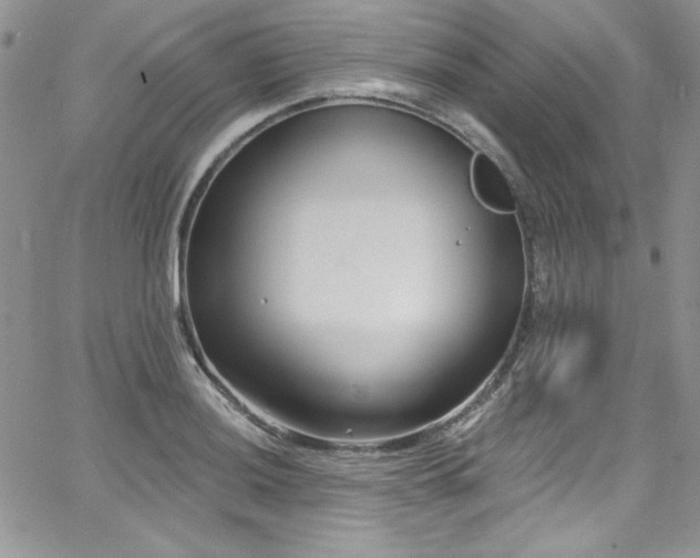 X0000068271036200604211105