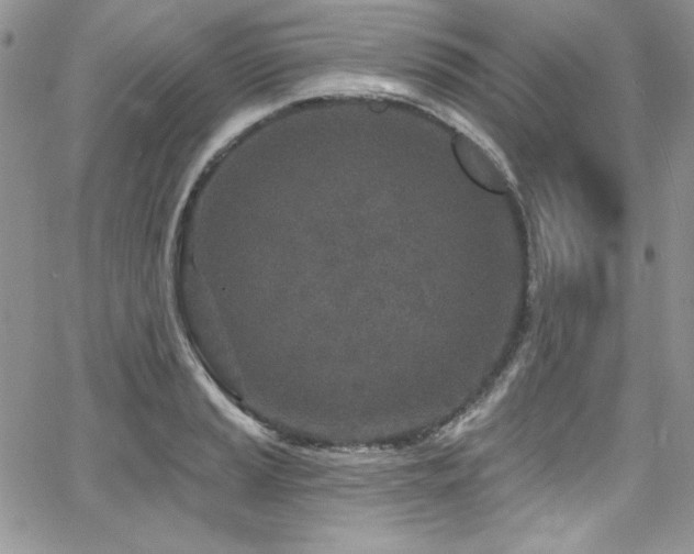 X0000068271037200604211105