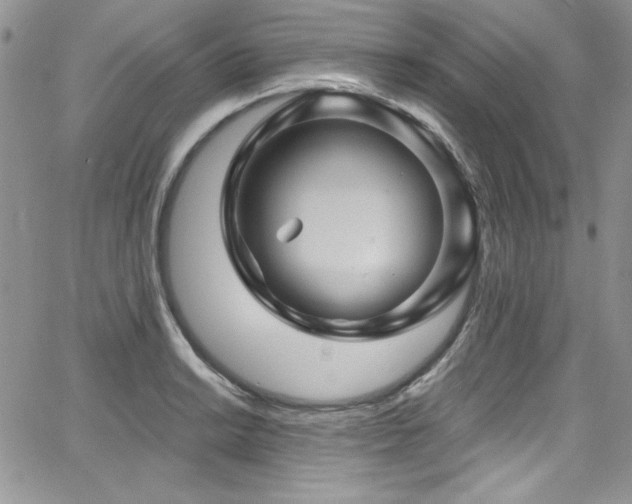 X0000068271038200604211105