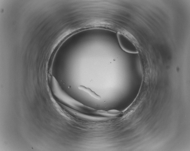 X0000068271039200604211105