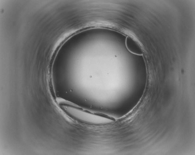 X0000068271040200604211105