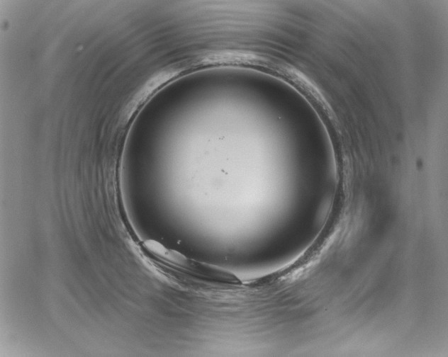 X0000068271041200604211105