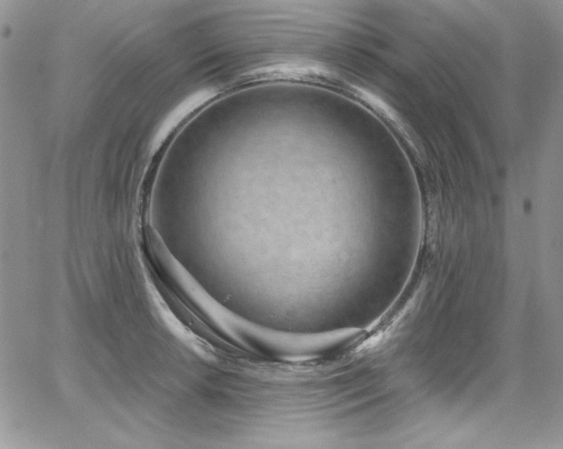 X0000068271042200604211105