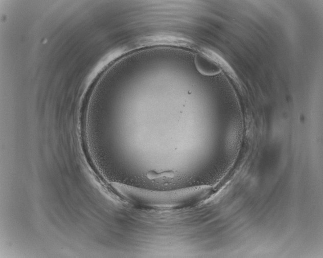 X0000068271043200604211105