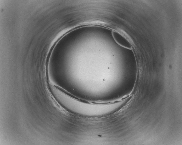 X0000068271044200604211105