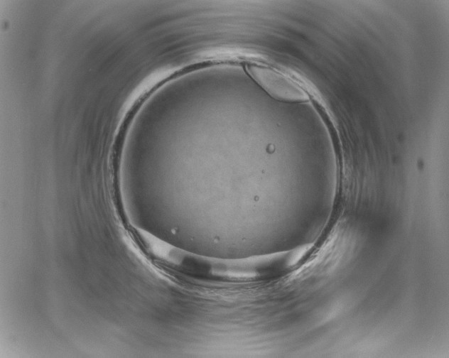 X0000068271045200604211105