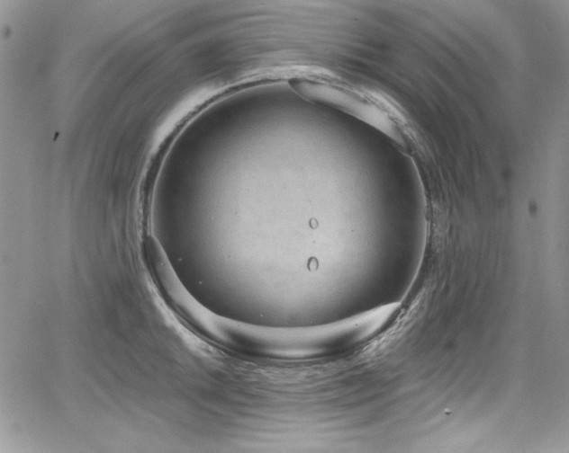 X0000068271046200604211105