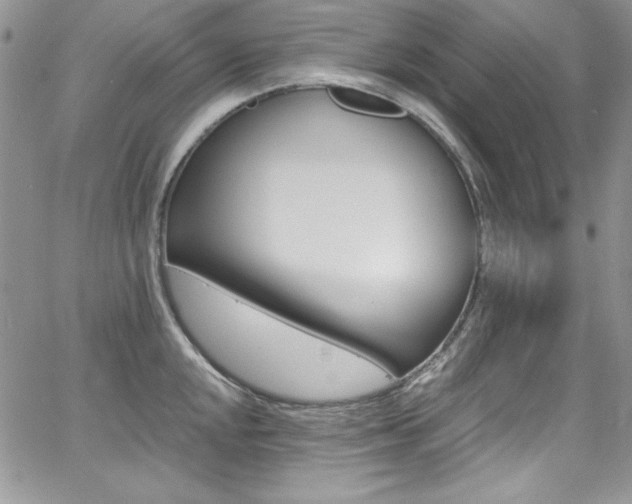 X0000068271048200604211105