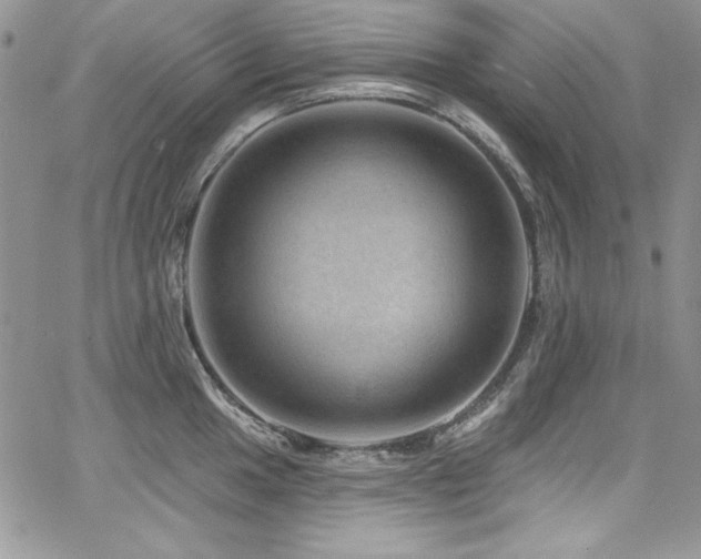 X0000068271049200604211105