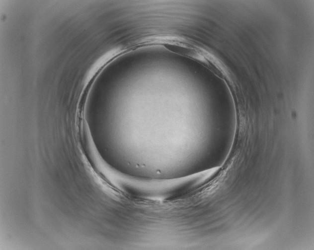 X0000068271050200604211105