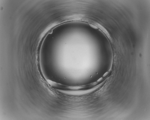 X0000068271051200604211105