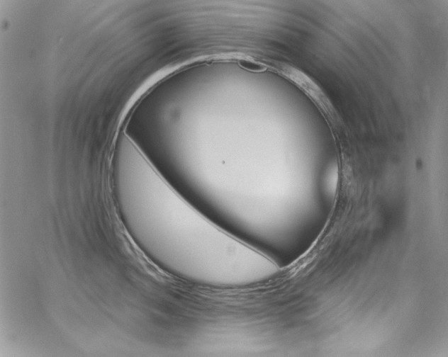 X0000068271052200604211105