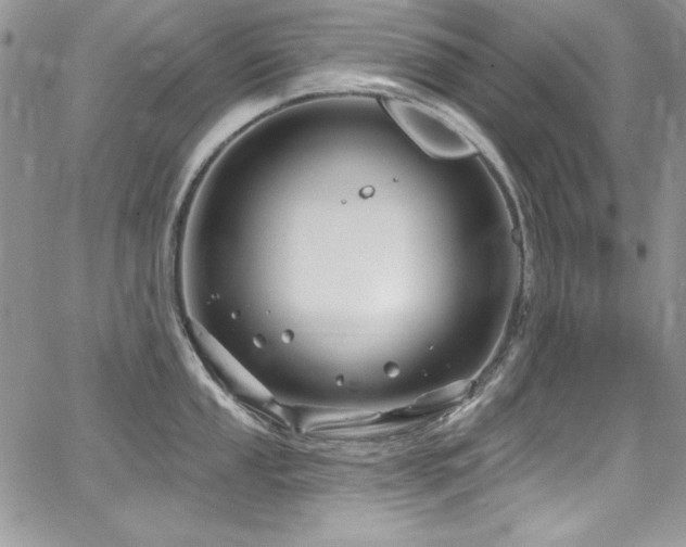 X0000068271053200604211105