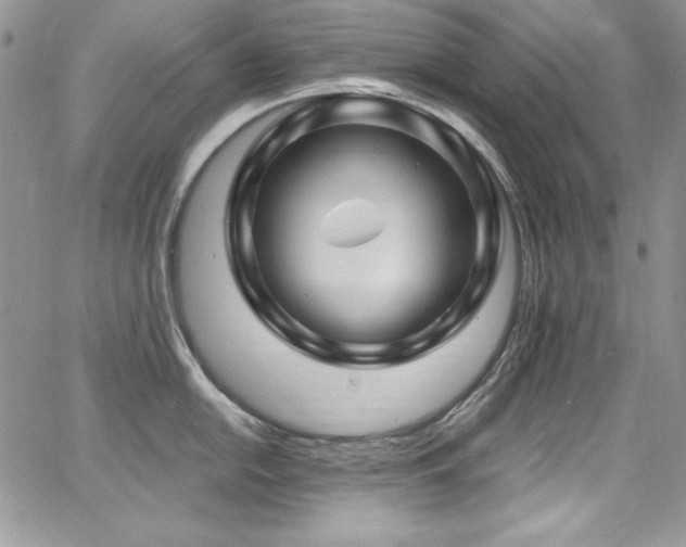 X0000068271054200604211105