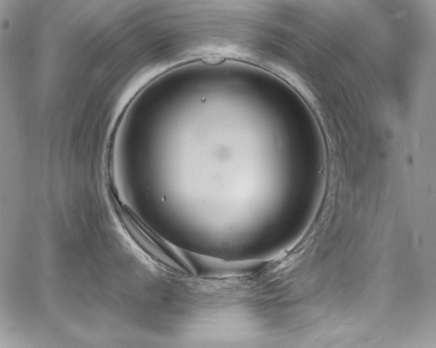 X0000068271056200604211105