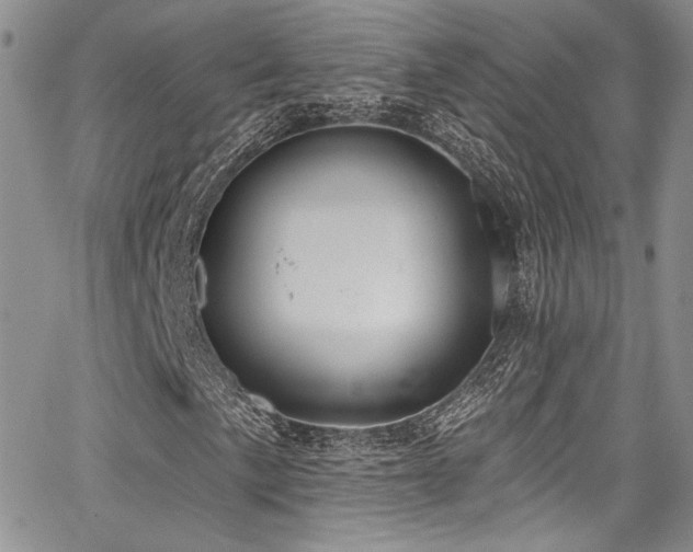 X0000068271057200604211104