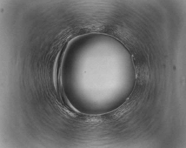 X0000068271058200604211104