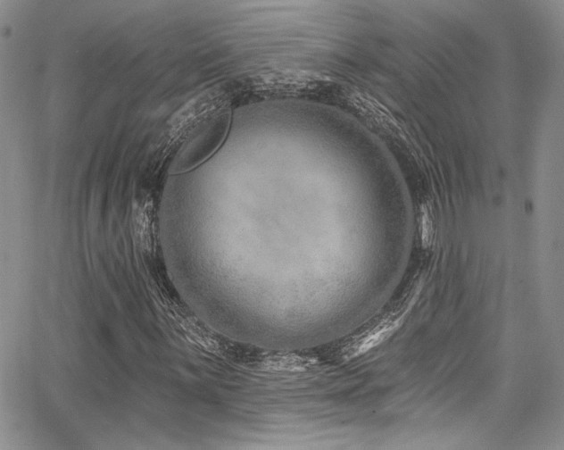 X0000068271059200604211104