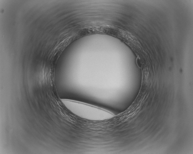 X0000068271060200604211104