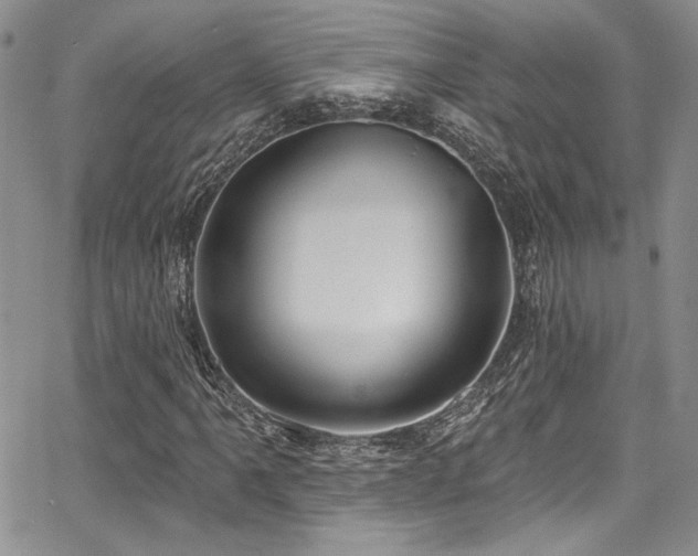 X0000068271061200604211104