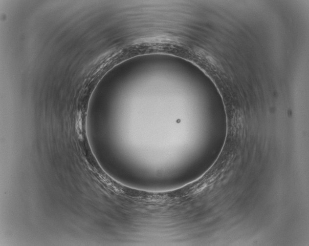 X0000068271062200604211104