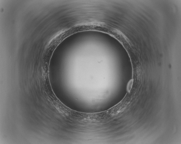 X0000068271064200604211104