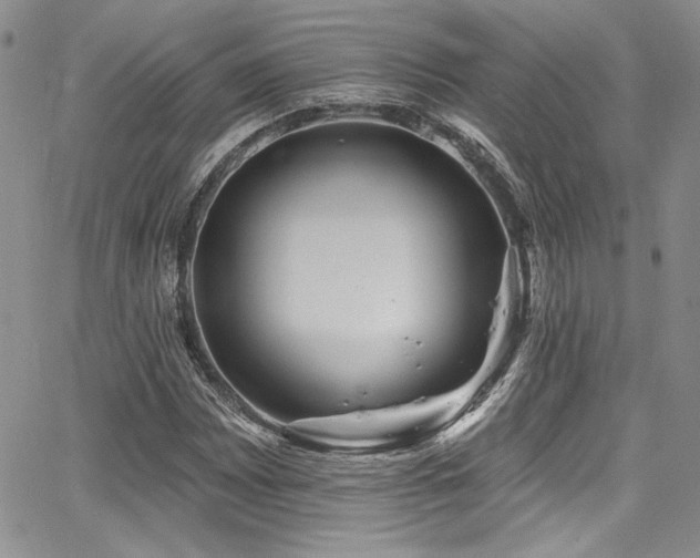 X0000068271065200604211104