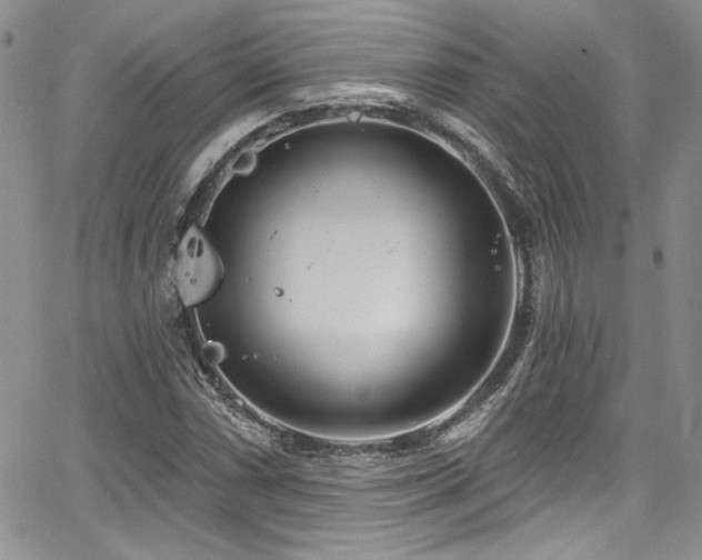 X0000068271066200604211104