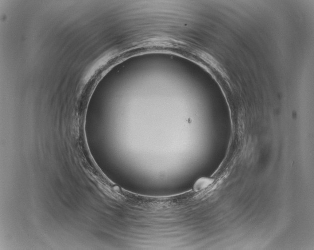 X0000068271067200604211104