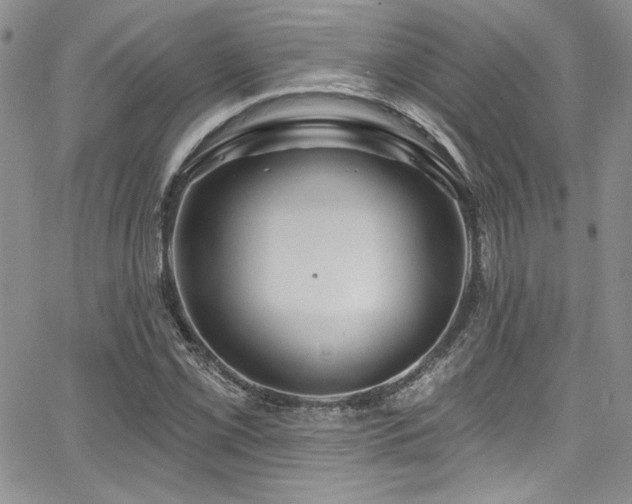 X0000068271069200604211104