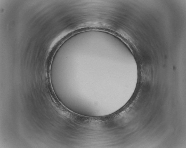 X0000068271070200604211104