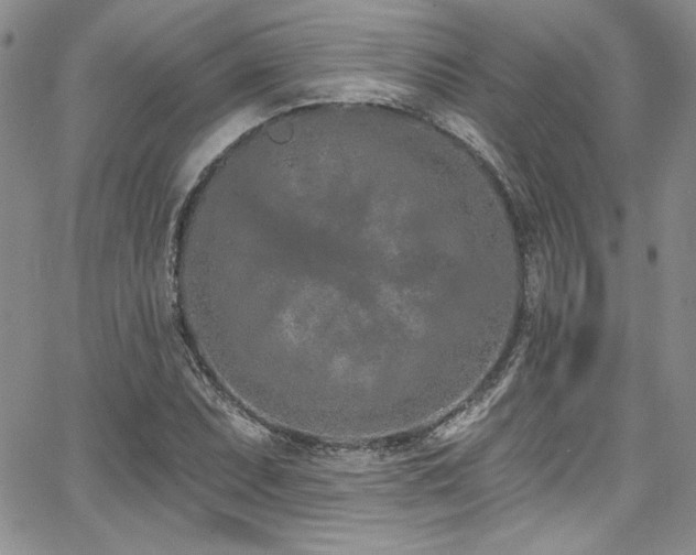 X0000068271071200604211104