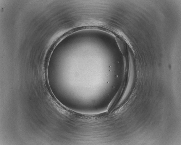 X0000068271072200604211104